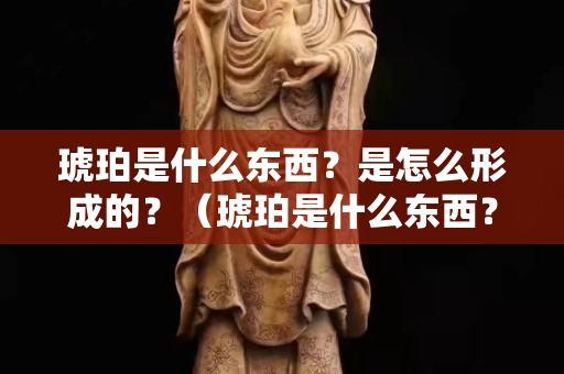 琥珀是什么東西？是怎么形成的？（琥珀是什么東西？是怎么形成的？血珀）
