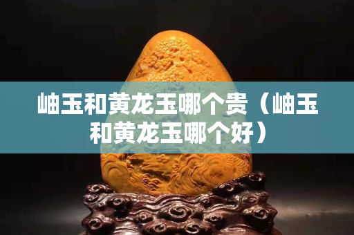 岫玉和黃龍玉哪個貴（岫玉和黃龍玉哪個好）