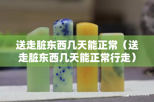 送走臟東西幾天能正常（送走臟東西幾天能正常行走）