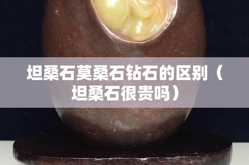 坦桑石莫桑石鉆石的區(qū)別（坦桑石很貴嗎）