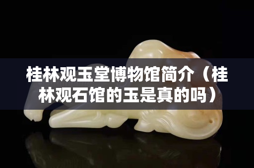 桂林觀玉堂博物館簡(jiǎn)介（桂林觀石館的玉是真的嗎）