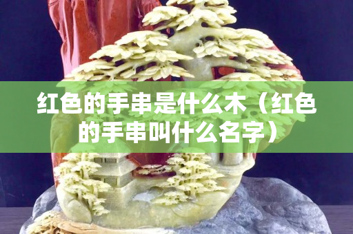 紅色的手串是什么木（紅色的手串叫什么名字）