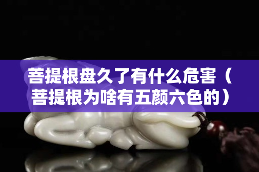 菩提根盤久了有什么危害（菩提根為啥有五顏六色的）