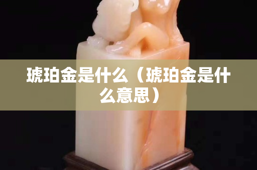 琥珀金是什么（琥珀金是什么意思）