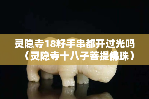 靈隱寺18籽手串都開過光嗎（靈隱寺十八子菩提佛珠）