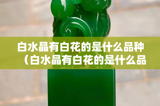 白水晶有白花的是什么品種（白水晶有白花的是什么品種圖片）