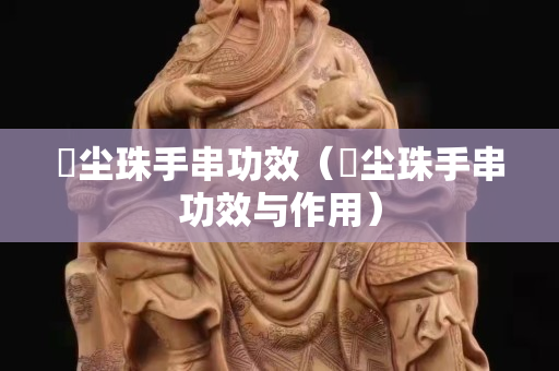 雮塵珠手串功效（雮塵珠手串功效與作用）
