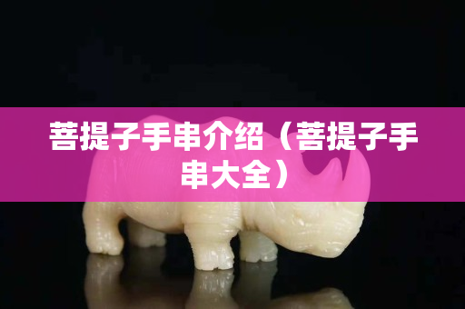 菩提子手串介紹（菩提子手串大全）