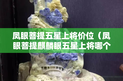 鳳眼菩提五星上將價位（鳳眼菩提麒麟眼五星上將哪個好）