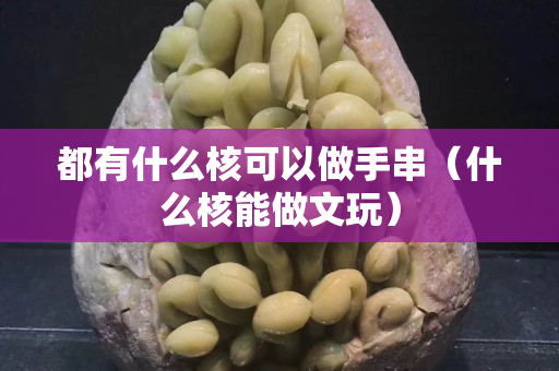 都有什么核可以做手串（什么核能做文玩）