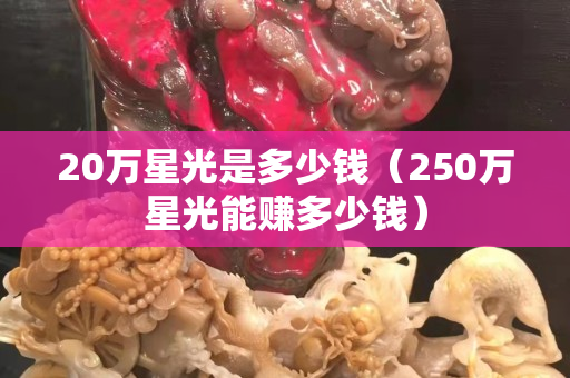 20萬星光是多少錢（250萬星光能賺多少錢）