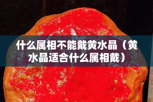 什么屬相不能戴黃水晶（黃水晶適合什么屬相戴）
