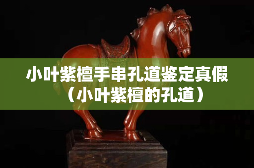 小葉紫檀手串孔道鑒定真假（小葉紫檀的孔道）
