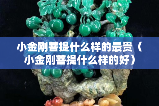 小金剛菩提什么樣的最貴（小金剛菩提什么樣的好）