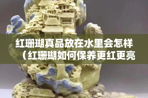 紅珊瑚真品放在水里會怎樣（紅珊瑚如何保養(yǎng)更紅更亮）