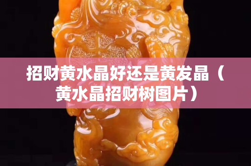 招財(cái)黃水晶好還是黃發(fā)晶（黃水晶招財(cái)樹(shù)圖片）