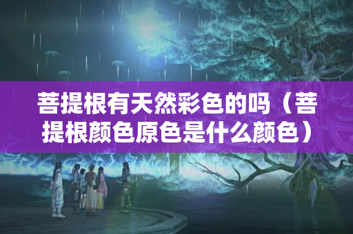 菩提根有天然彩色的嗎（菩提根顏色原色是什么顏色）