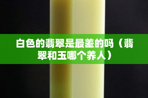 白色的翡翠是最差的嗎（翡翠和玉哪個養(yǎng)人）