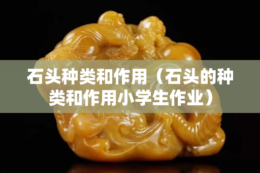 石頭種類和作用（石頭的種類和作用小學生作業）