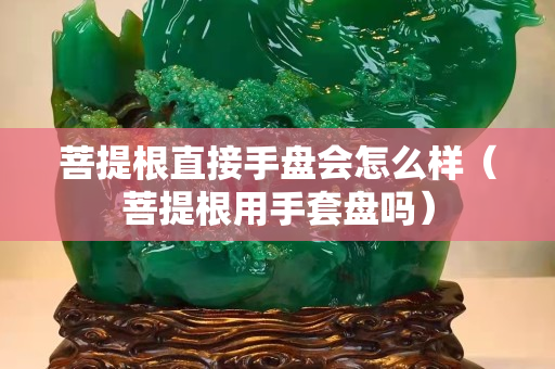 菩提根直接手盤會怎么樣（菩提根用手套盤嗎）