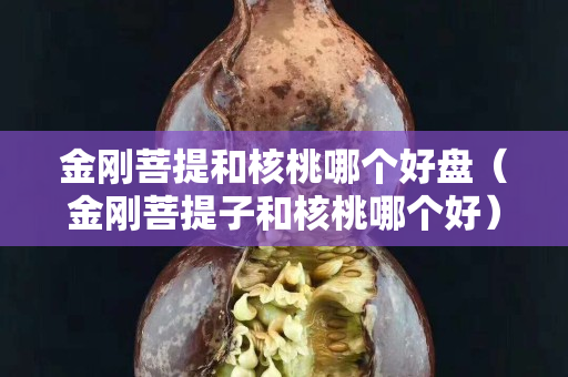 金剛菩提和核桃哪個好盤（金剛菩提子和核桃哪個好）