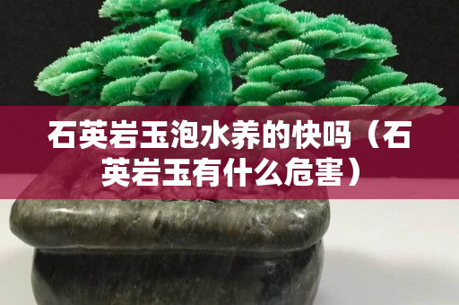 石英巖玉泡水養(yǎng)的快嗎（石英巖玉有什么危害）