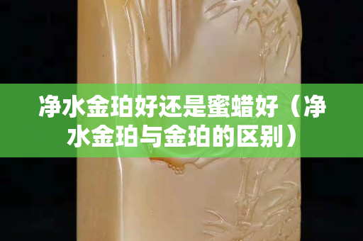 凈水金珀好還是蜜蠟好（凈水金珀與金珀的區別）