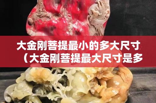 大金剛菩提最小的多大尺寸（大金剛菩提最大尺寸是多大）