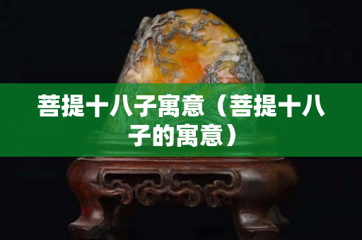 菩提十八子寓意（菩提十八子的寓意）