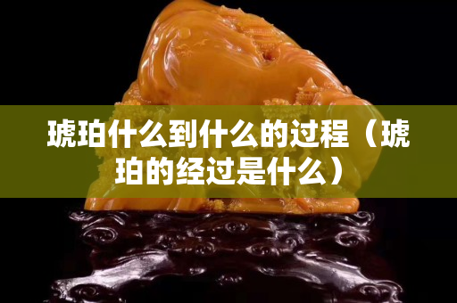 琥珀什么到什么的過程（琥珀的經過是什么）