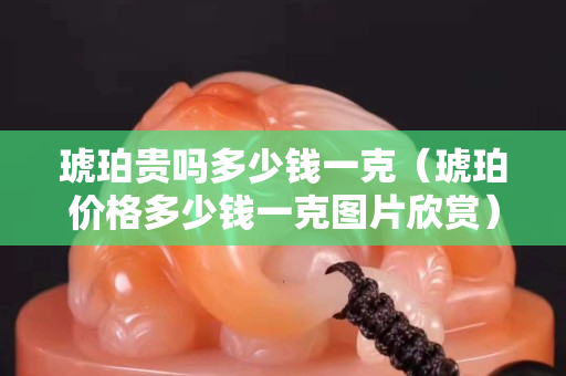 琥珀貴嗎多少錢一克（琥珀價格多少錢一克圖片欣賞）