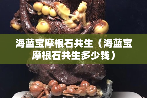 海藍寶摩根石共生（海藍寶摩根石共生多少錢）