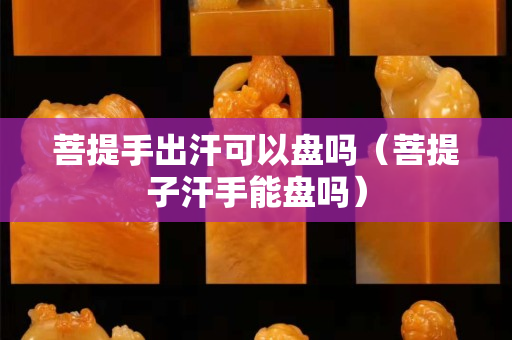 菩提手出汗可以盤嗎（菩提子汗手能盤嗎）