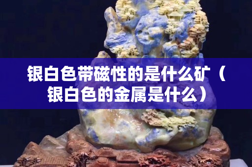 銀白色帶磁性的是什么礦（銀白色的金屬是什么）