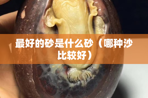 最好的砂是什么砂（哪種沙比較好）