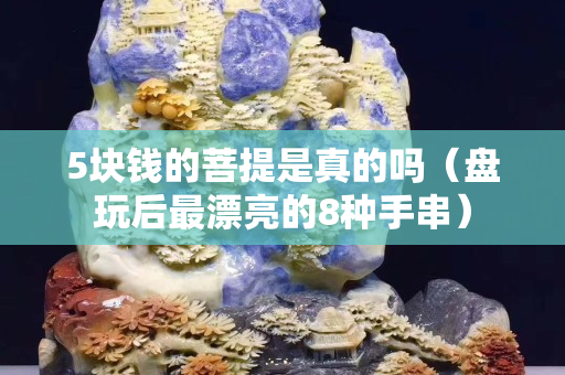 5塊錢的菩提是真的嗎（盤玩后最漂亮的8種手串）