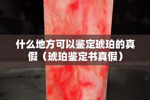什么地方可以鑒定琥珀的真假（琥珀鑒定書真假）
