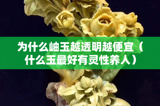 為什么岫玉越透明越便宜（什么玉最好有靈性養人）