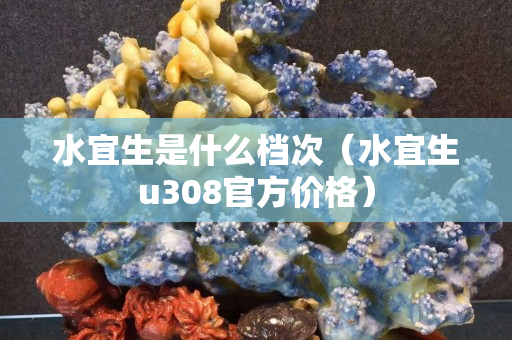 水宜生是什么檔次（水宜生u308官方價格）