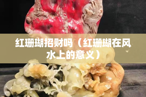 紅珊瑚招財嗎（紅珊瑚在風水上的意義）