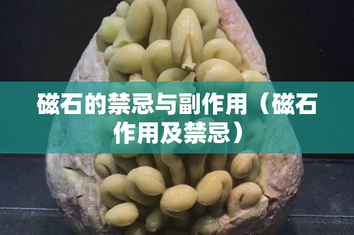 磁石的禁忌與副作用（磁石作用及禁忌）