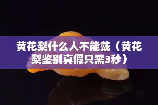 黃花梨什么人不能戴（黃花梨鑒別真假只需3秒）