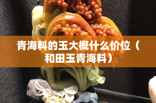青海料的玉大概什么價位（和田玉青海料）