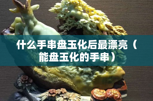 什么手串盤玉化后最漂亮（能盤玉化的手串）