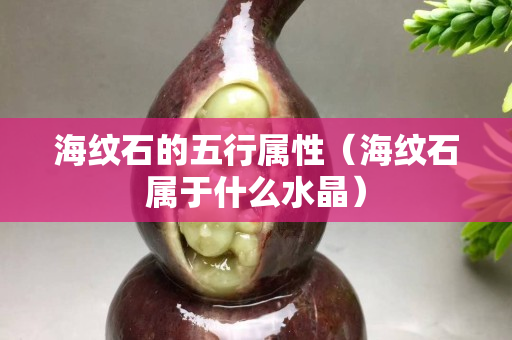 海紋石的五行屬性（海紋石屬于什么水晶）