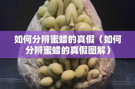 如何分辨蜜蠟的真假（如何分辨蜜蠟的真假圖解）