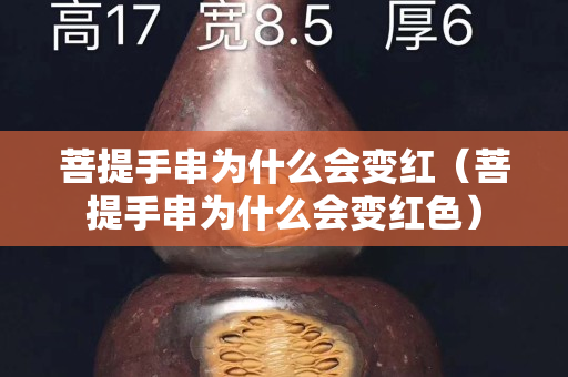 菩提手串為什么會變紅（菩提手串為什么會變紅色）