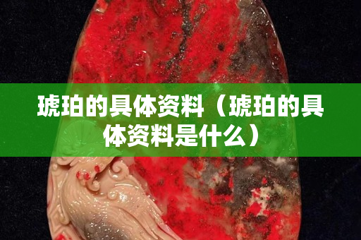 琥珀的具體資料（琥珀的具體資料是什么）