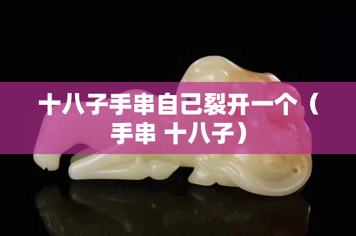 十八子手串自己裂開一個（手串 十八子）