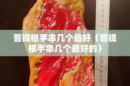 菩提根手串幾個最好（菩提根手串幾個最好的）